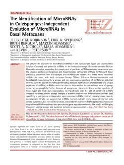 The Identification of MicroRNAs in Calcisponges