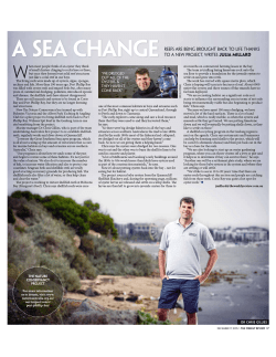 A SEA CHANGE REEFS ARE BEING BROUGHT BACK TO LIFE