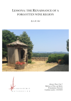 lessona: the renaissance of a forgotten wine region