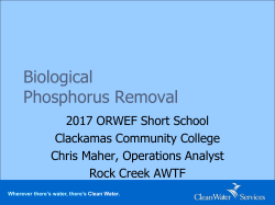 Biological Phosphorus Removal