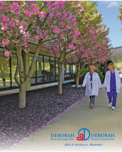 2013 - Deborah Hospital Foundation