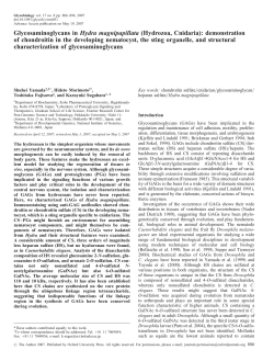 Glycosaminoglycans in Hydra magnipapillata
