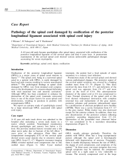 Pathology of the spinal cord damaged by ossification of the posterior
