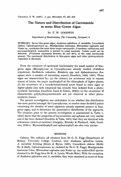 The Nature and Distribution of Carotenoids in some Blue