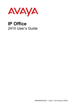 Avaya 2410 User Guide