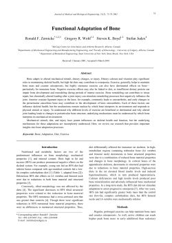 PDF - JMBE-Journal of Medical and Biological Engineering