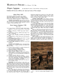 Published 26 December 2002 by the American