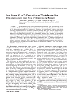 Sex From W to Z: Evolution of Vertebrate Sex Chromosomes and