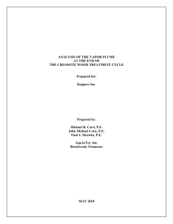 ANALYSIS OF THE VAPOR PLUME AT THE END OF