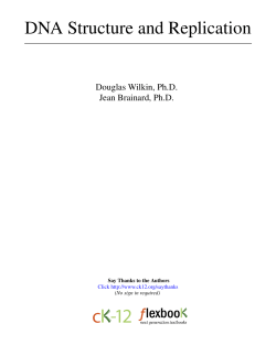 DNA Structure and Replication