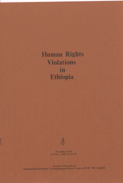 PDF - Amnesty International