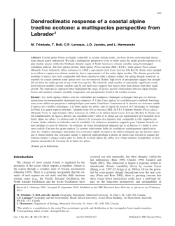 paper - Initial Set Up