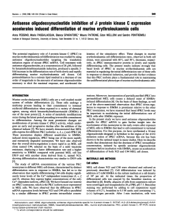 Antisense oligodeoxynucleotide inhibition of s protein kinase C