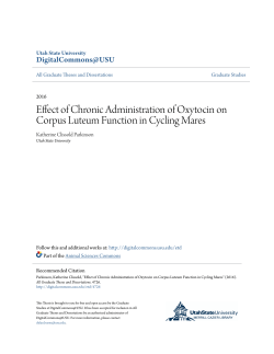 Effect of Chronic Administration of Oxytocin on Corpus Luteum
