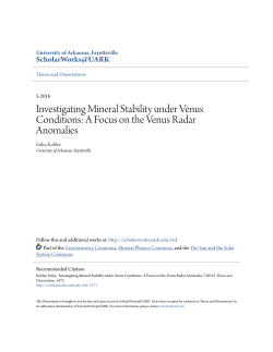 Investigating Mineral Stability under Venus Conditions: A Focus on