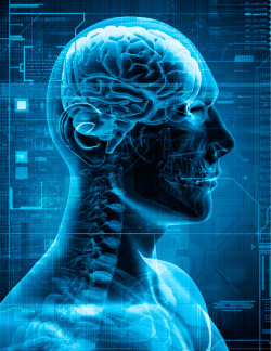 356: Treating Glioblastoma Multiforme