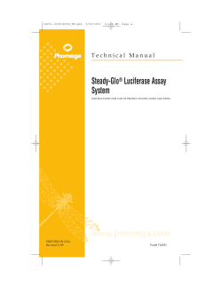 Steady-Glo&reg; Luciferase Assay System