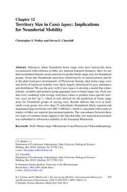 Territory Size in Canis lupus: Implications for Neandertal Mobility