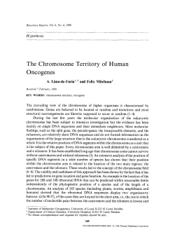 The chromosome territory of human oncogenes