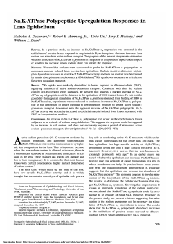 Na,K-ATPase polypeptide upregulation responses in lens epithelium.