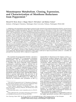 Monoterpene Metabolism. Cloning, Expression