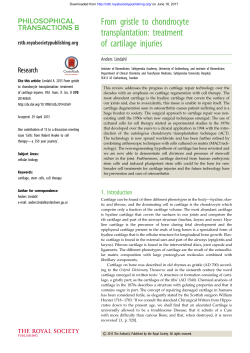 From gristle to chondrocyte transplantation: treatment of cartilage