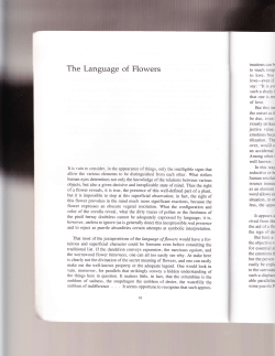 The Language of Flowers