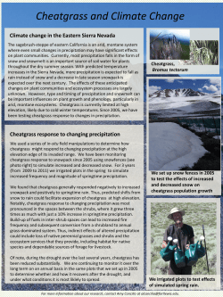 Cheatgrass and Climate Change