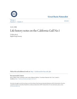 Life history notes on the California Gull No.1