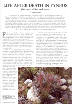 LIFE AFTER DEATH IN FYNBOS