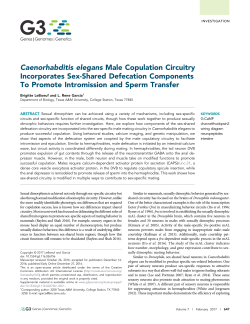 Caenorhabditis elegans Male Copulation Circuitry Incorporates Sex