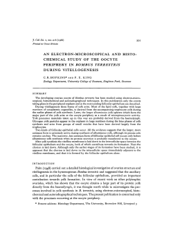 an electron-microscopical and histo