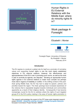 human rights in eu external relation.