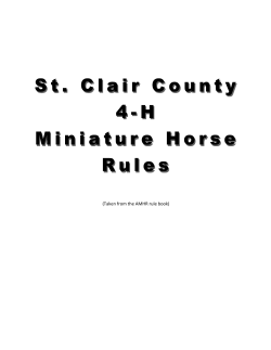 4-H Miniature Horse Rules - St. Clair County 4