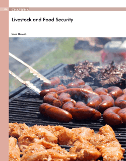 Livestock and Food Security - Arab Forum for Environment and