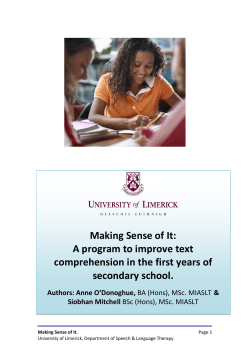 Making Sense of It - University of Limerick