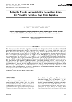 Dating the Triassic continental rift in the southern Andes