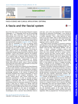 A fascia and the fascial system