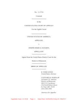 USA Brief - Turtle Talk