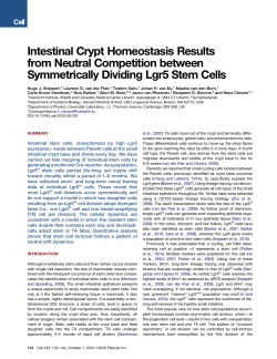 Intestinal Crypt Homeostasis Results from Neutral Competition