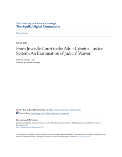 From Juvenile Court to the Adult Criminal Justice System: An