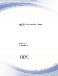 IBM TRIRIGA Application Platform 3 Graphics User Guide