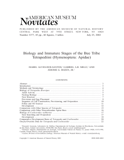 Biology and Immature Stages of the Bee Tribe Tetrapediini