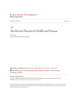 The Bovine Placenta In Health and Disease
