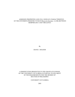 holder_d ( PDF ) - UFDC Image Array 2