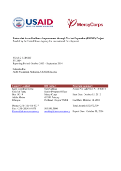 as PDF