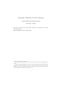 Economic Theories of Voter Turnout