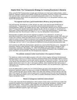 Helpful hints: The Transposome strategy for creating