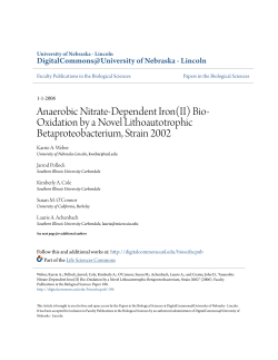 Anaerobic Nitrate-Dependent Iron(II) Bio