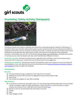 Snorkeling: Safety Activity Checkpoints